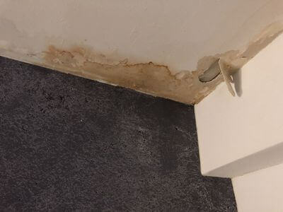 Professional basement flood cleanup services in Chicago